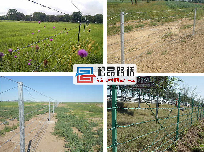 宝山刺绳防护网